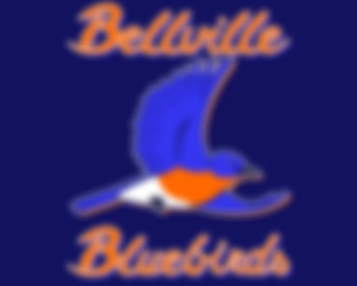 Bellville+Bluebirds+Primary.jpg